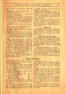 sloans farm and home journal vol 1 no 6 1910 033 page 31