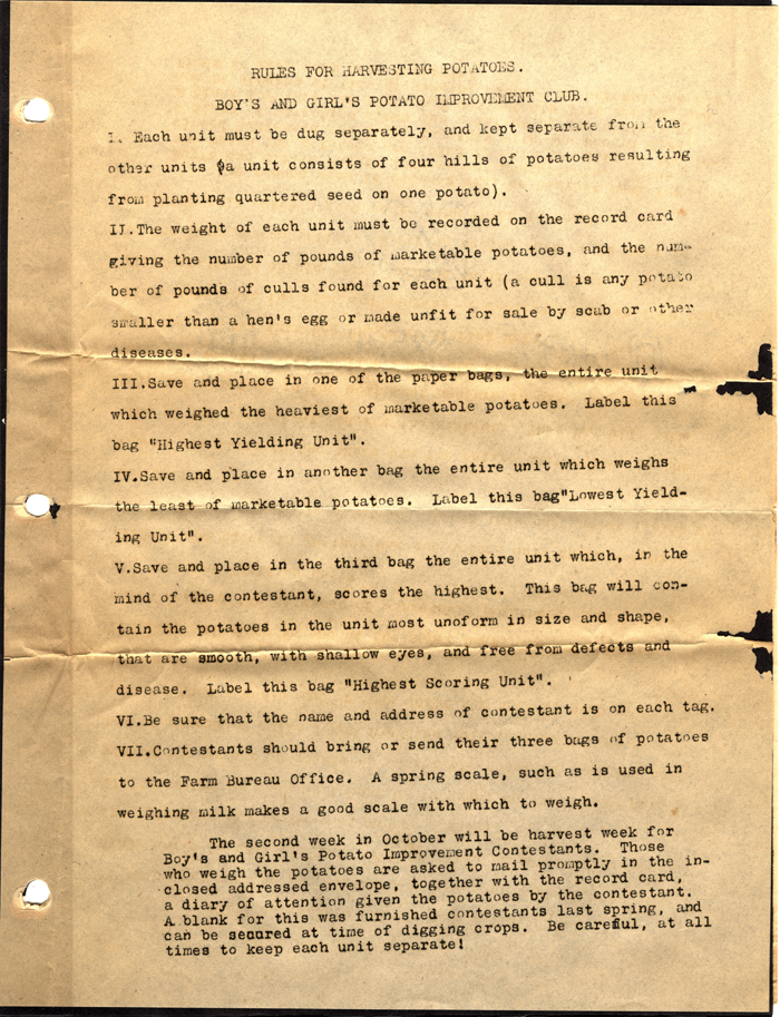 boys and girls potato contest rules 1918