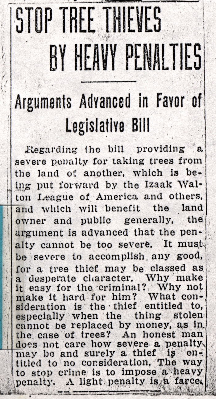 stop tree thieves by heavy penalties boonville herald 1918