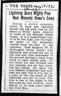 lightning sears mighty pine near masonic home camp may 10 1931