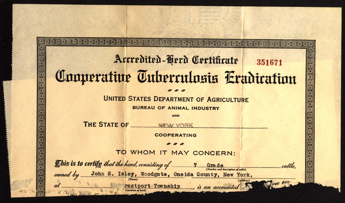 isley john s cattle tuberculosis eradication certificate 1932
