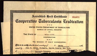 isley john s cattle tuberculosis eradication certificate 1932