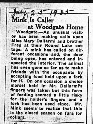 mink is caller at dallarmi home july 25 1935