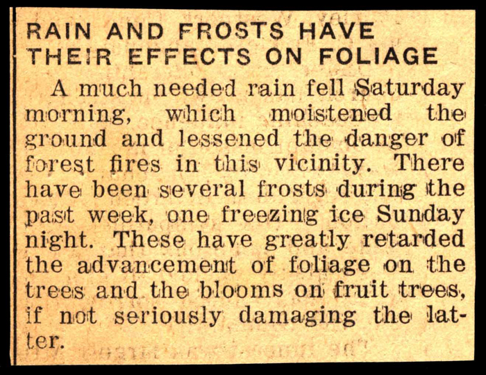 rain and frosts affect foliage growth in white lake area 1941