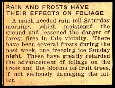 rain and frosts affect foliage growth in white lake area 1941