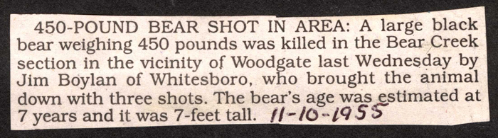 450 pound bear shot by jim boylan november 10 1955 001