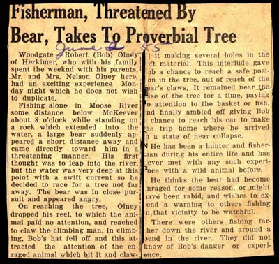 robert olney threatened by bear june 2 1955