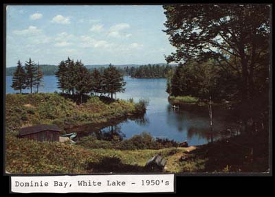 dominie bay white lake post card 1950s