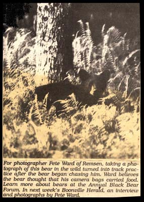 black bear photo taken by pete ward of remsen 1992