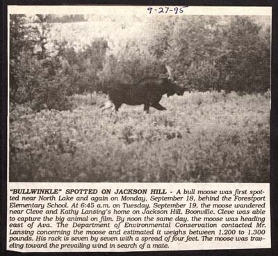 moose spotted on jackson hill september 27 1995