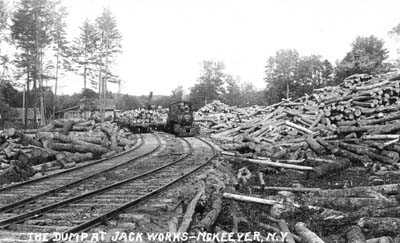 041 fallon collection mckeever ny log dump at jack works