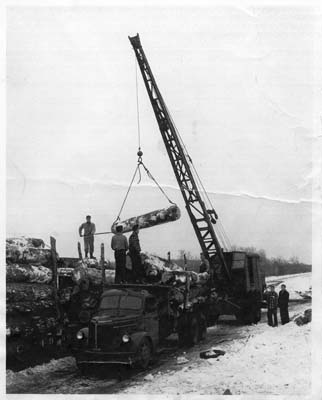 log cars being loaded at white lake near station 002
