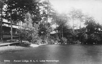 HonnedagaforestLodge