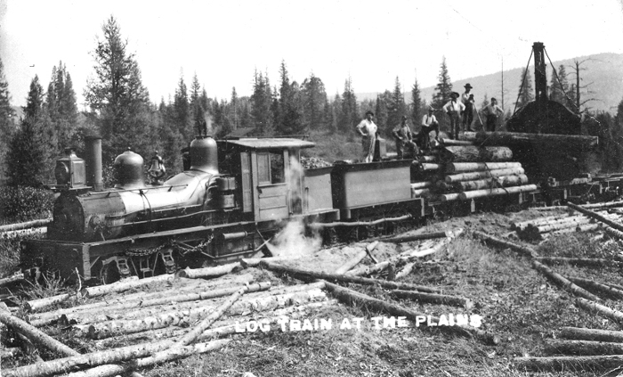 WanakenaLogTrain